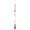 Pastel Show Long Lasting Lip Pencil 204