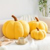 EXQUILEG 3D Plush Pumpkin Decorative Cushion Pillow Birthday Gifts Seat