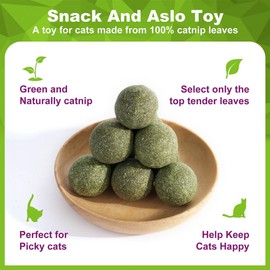 NZLOMXU Catnip Balls Kitten Cat Nip Ball Licker Toy Natural Catnip Ball for Cats of All Breeds,Cat Lick Ball Toys That Fascinate Cats