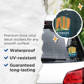 Redwood National Park Bumper Sticker - US National Park - 5 Inches On Longest Side - Vinyl Decal for Car Bumper, Laptop, Water Bottle, Wall, and Window - BMCS0256