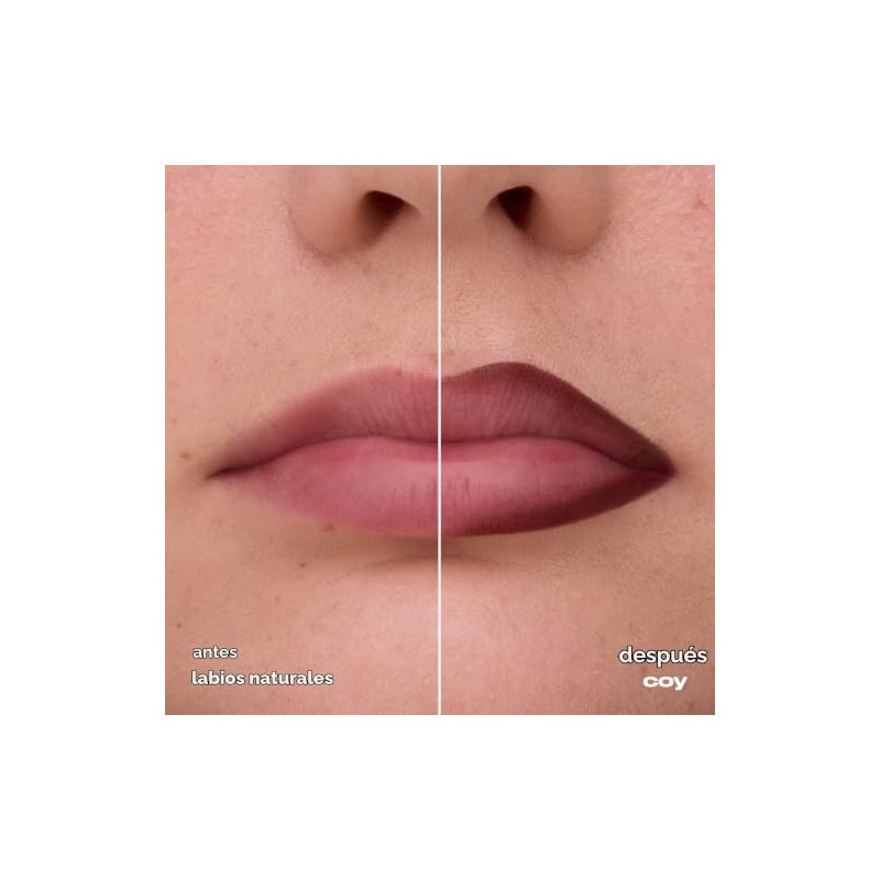 Urban Decay - Lip Toy Staining Brush Lip Liner Delineador