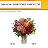 Hizashi LED Edison Bulbs, 6W, Equivalent 60W, Dimmable E26 LED
