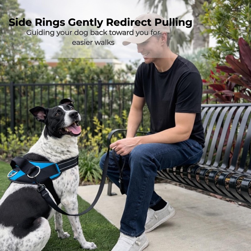 ShawnCo Essential Dog Harness, No-Pull Pet Vest with 3 Leash