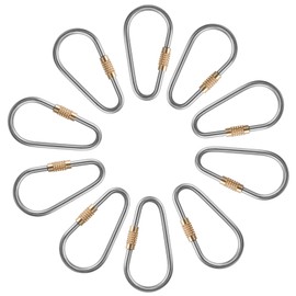 10 Pieces Mini Titanium Locking Clips Durable D-Ring Locking Snap Keychain Keyring Screw Lock Buckle for Outdoor Indoor Dog Tags Use, Lightweight and Sturdy