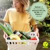 VITALKRAFT Vegan+ Vitamin & Mineral Complex Set, High Dose Capsules