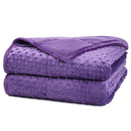 Alomidds Weighted Blanket, Luxury Velvet Weighted Blankets for Adults and Kids,Warm and Breathable Soft and Comfort Minky, Cute Heavy Blanket with Premium Glass Beads (36"x48" 5LBS, Purple)