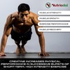 Nutriodol Nutriodol Creatine Monohydrate Mega Capsules C Pre Workout &