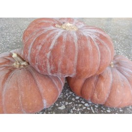 Detailed page Pumpkin Powder 500g Pumpkin Water Powder How to Eat Pumpkin Benefits Baking Ingredients Pumpkin Powder / 호박분말 500g 호박물 가루 호박먹는법 효능 베이킹 재료 호박가루