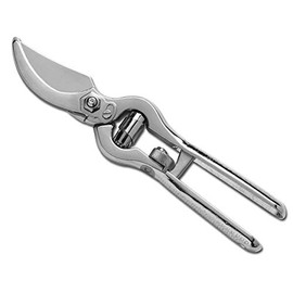 AUSONIA - 31166 PROFI GARTENSCHERE BAUMSCHERE GESCHMIEDET MIT GLÄNZEND VERNICKELTER GEGENKLINGE UND ROLL-SICHERHEITSVERSCHLUSS, IDEAL FÜR BESCHNITT UND GARTENARBEIT 21 CM