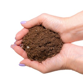 Gardenera's Expert Kumquat Soil Mix - 4 QT - Quick Drain Blend, Enriched with Peat Moss, Perlite, Worm Castings, and Lime - Ideal for Potting, Planting, and Repotting