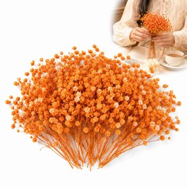 Gypsophila-Style Mini Flower Stems, Orange, 100-Piece Arrangement Set