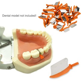 Dental Orthodontic Die Wedges, Dental Interproximal Wedge, 50 Pieces Teeth Interproximal Wedge Stainless Steel Heat Resistant Dental Matrix Material Tool for Dental Clinics (M)