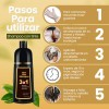 Shampoo Tinte Instantáneo Cubre Canas Natural Jengibre 2pz F