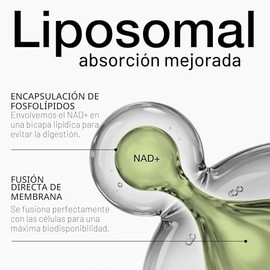 Toniiq Suplemento NAD+ 1500mg - Suplemento NAD de Ultra Alta Potencia con Ingredientes Clínicamente Estudiados con RiaGev-WS™ Patentado, Resveratrol y