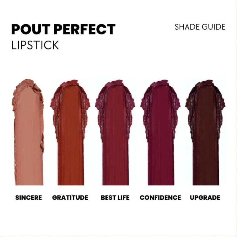 Labiales En Barra Pout Perfect Ace Beaute