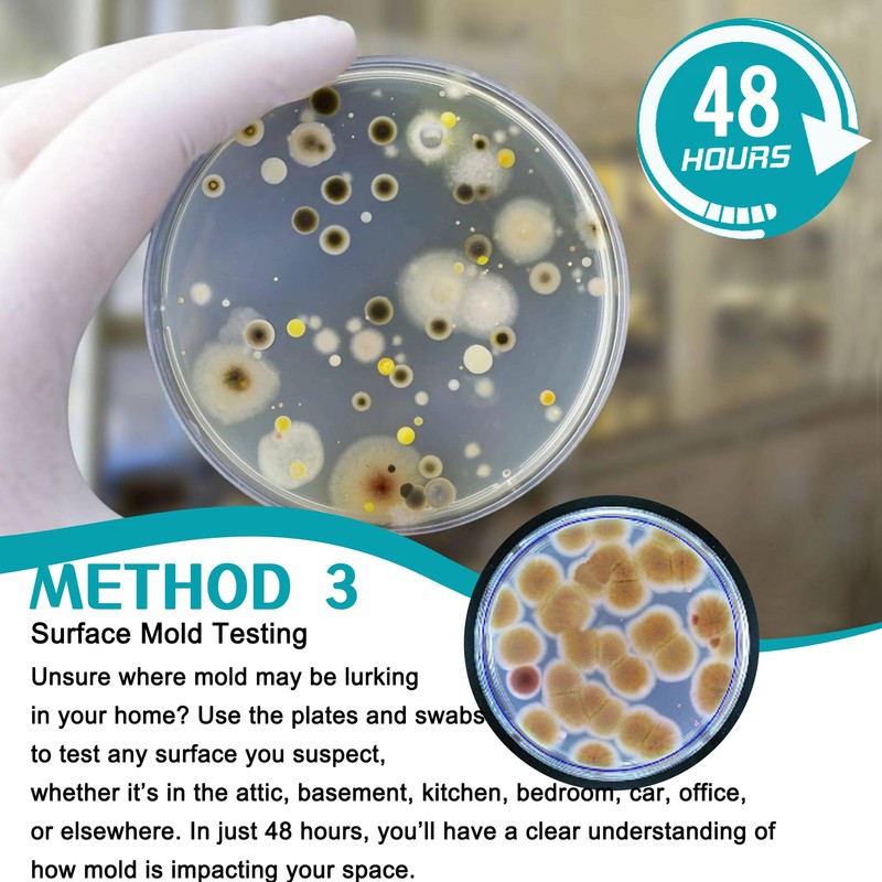 Mold Test Kit for Home 12 Simple Detection Tests, HVAC