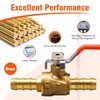 Horiznext 3/8 inch brass mini shut off ball barb valve