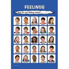 Laminated 18x24 Large Teen Feelings Poster