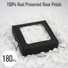 Rosaura Real Preserved Rose Petals 50g(1.75oz) for Wedding Decor, Romantic