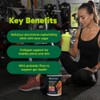 Organika Electrolitos con Colágeno con Prebióticos Limón y Bayas 360