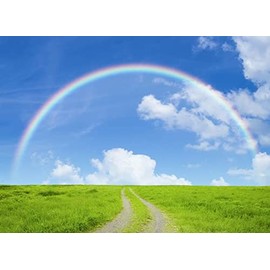 Landscape Postcard: Prairie Road to Rainbow Postcard Postcard
