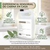 Shampoo a Granel sin Sulfatos de Eucalipto Brillo Excepcional 1