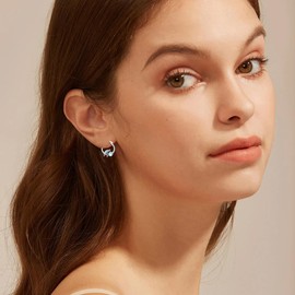 Sea Turtle Moonstone Hoop Earrings 925 Sterling Silver Round Moonstone with Turtle Hoop Earrings for Women Summer Gifts