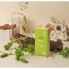 네츄럴굿띵스 속편한 생생효소 7p, 21g, 1개 Natural Goodthings Easy Digest