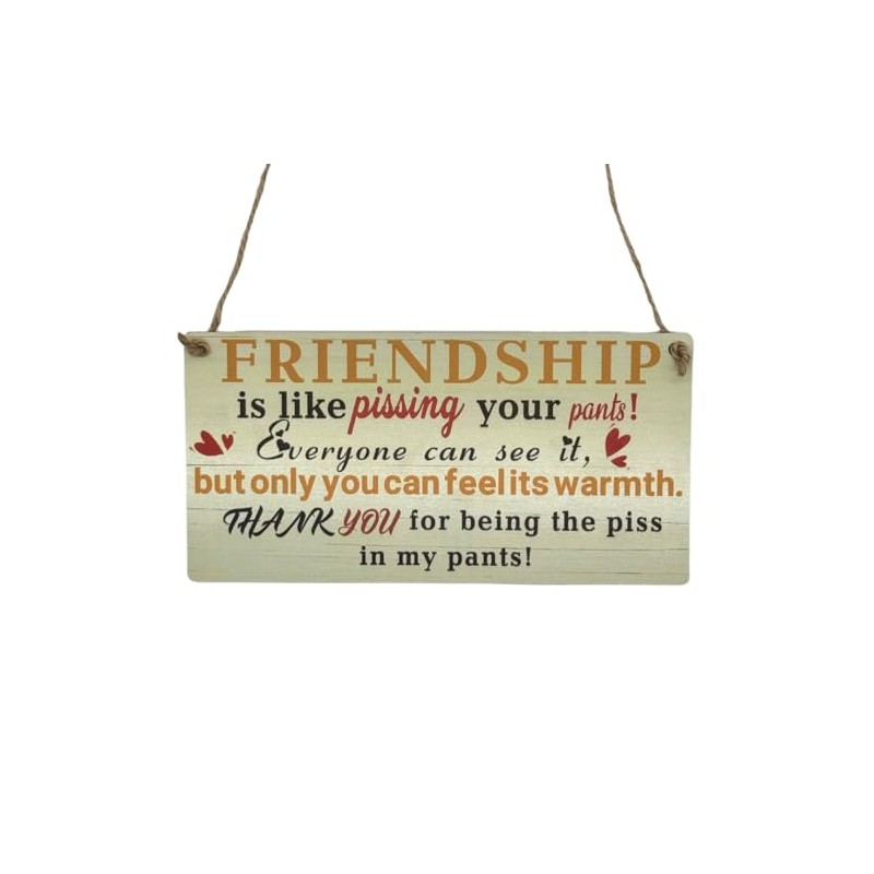 Second Ave Funny Joke Friendship Wooden Hanging Rectangle Home Friend