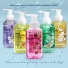 Scent Theory - Foaming Hand Soap - 11 Fl Oz