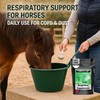 Freestep RespriFree – Respiratory Support Supplement for Horses Prone to