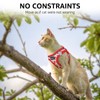 SCENEREAL Cat Harness & Leash Set Escape Proof - Adjustable