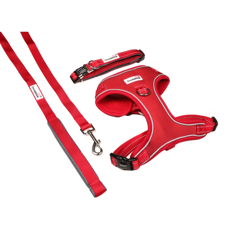 Doodlebone Adjustable Airmesh, Ruby, 2-3