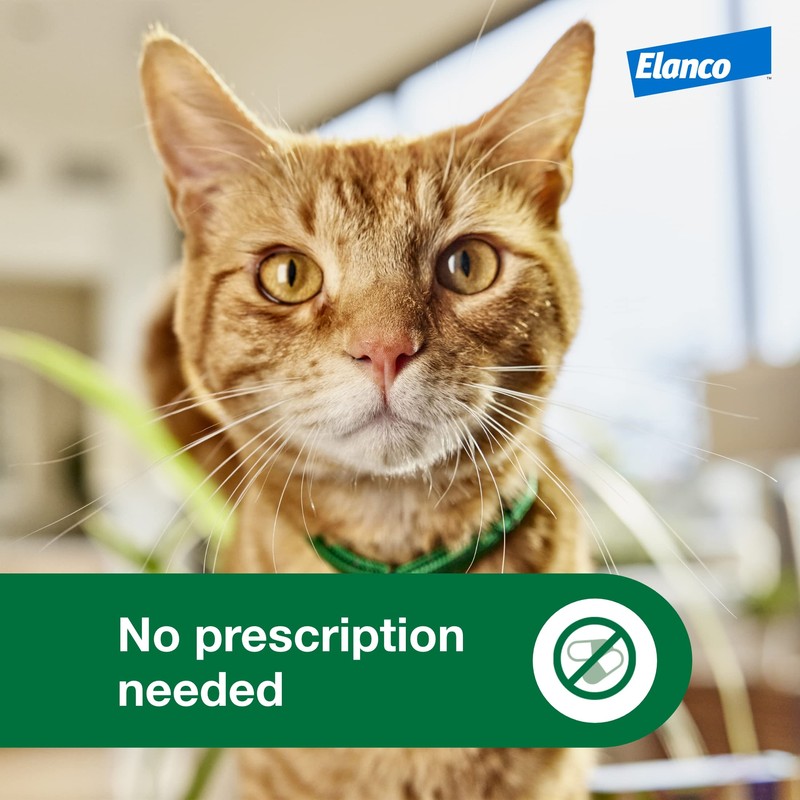 Advantage XD Large Cat Flea Prevention & Treatment For Cats