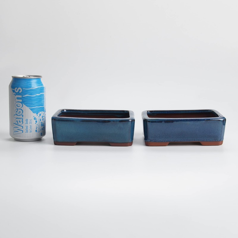 Bonsai Planter 5.5" Small Glazed Pots Succulent Set of 2