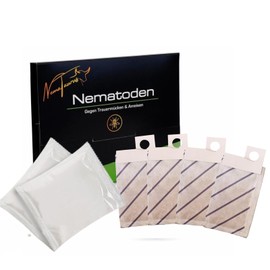 SF nematodes for controlling fungus gnats, thrips and other pests of effective biological plant protection with nematodes (SF nematode + predatory mite (Amblyseius cucumeris), 3, million)