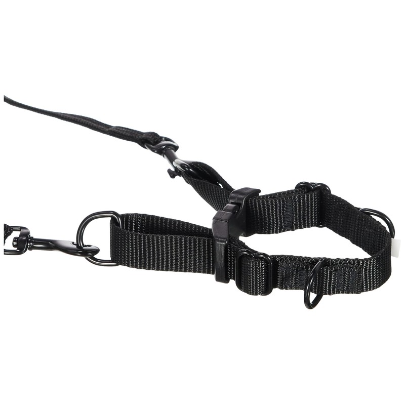 Stop your dog from pulling easy walker (small)