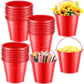 Rtteri 24 Pcs Metal Bucket, Small Metal Bucket, Party Favor Buckets with Handle, 6 x 5 Inch Ice Bucket, Flower Pot Plant Basket, Mini Containers for Crafts Candy(Red)