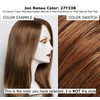 Rampage Ponytail Color 27T33B Cinnamon Toast Easihair Hairpieces 9.5" -