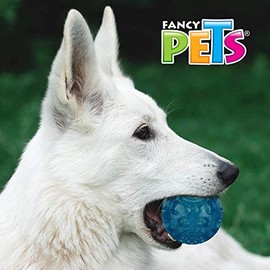 Fancy Pets Juguete Pelota Flexible para Perros CH con Sonido Squeaker para Morder y Jugar