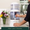 Fluoride And Chlorine Replacement Filter Gravity Water System, Alkaline and