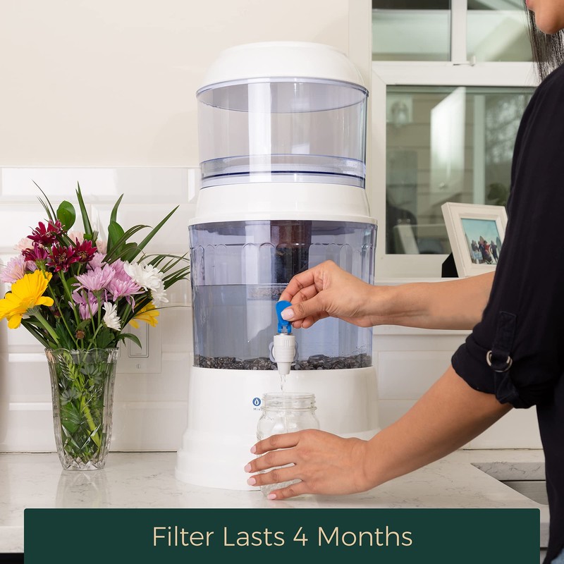 Fluoride And Chlorine Replacement Filter Gravity Water System, Alkaline and