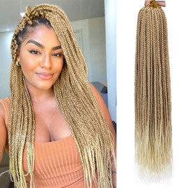 6 Packs Box Braids Crochet Hair Crochet Box Braids Pre-looped Synthetic Hair Crotchet Box Braids Hair 22 Inch (27/613, 22inch)