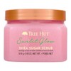 Sunlit Glow -Tree Hut Shea Sugar Scrub - 510g 18