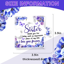 Sister Gifts for Women Valentine's Birthday Day Presents from Big Girls Adult Sisters Brother Heartwarming Little Sister Ideas Desk Decor Puzzle Acrylic Palque