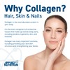 Applied Nutrition Marine Collagen Powder - Hydrolysed Collagen Protein, Healthy