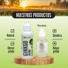 1 Ginkgo Biloba Cpsulas 1 Extracto Ginkgo Biloba Sin Sabor