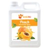 BOBA2U CONCENTRATED SYRUP 5.5 LBS (Peach)