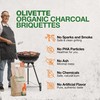 Organic Charcoal Briquettes by Olivette, Reusable Charcoal for Grilling, USDA