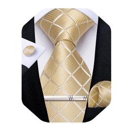 DiBanGu Silk Ties for Men Formal Plaid Check Necktie and Pocket Square Cufflinks Tie Clip Set Wedding Necktie with Gift Box, Champagne Gold